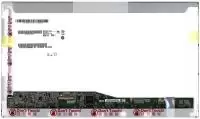 Матрица (экран) для ноутбука B156RW01 V.1, 15.6", 1600x900, 40 pin, LED, матовая
