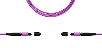 Сборка кабельная TopLan MPO-MPO, 12 волокон OM4, тип B (Key Up-Key Up), низкие потери, LSZH, 100 м, розовая